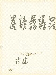 男性尿道口流出透明的粘液怎么回事