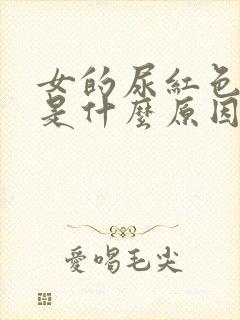 女的尿红色的尿是什么原因