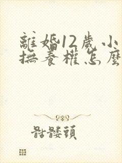 离婚12岁小孩抚养权怎么判定