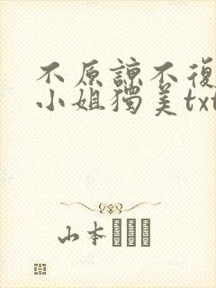 不原谅不复合苏小姐独美txt下载全本免费