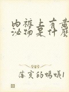 内裤上有黄色分泌物是什么原因