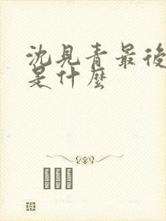 沈见青最后结局是什么