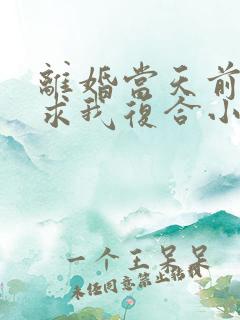 离婚当天前夫跪求我复合小说完整版本