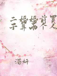 二婚婚前买的房子算两个人共同的财产吗