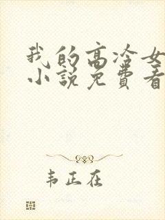 我的高冷女总裁小说免费看