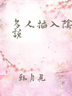 多人插入阴道小说