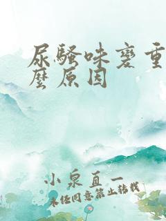 尿骚味变重是什么原因