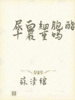 尿白细胞酯酶3十严重吗