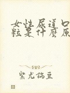 女性尿道口长颗粒是什么原因