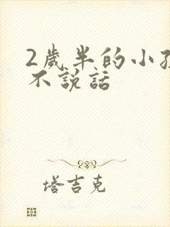 2岁半的小孩还不说话