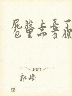 屁股上长了一个包里面有脓