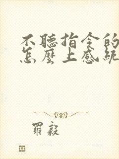 不听指令的孩子怎么上感统课