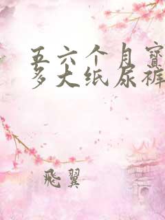 五六个月宝宝用多大纸尿裤