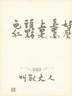 龟头上长好多小红点是怎么回事