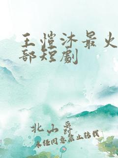 王恺沐最火的十部短剧