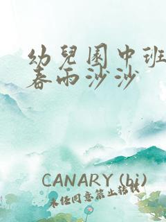 幼儿园中班儿歌春雨沙沙