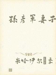 孙彦军妻子是谁