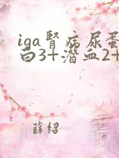 iga肾病尿蛋白3+潜血2+严重吗