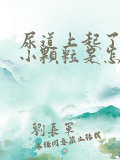 尿道上起了一个小颗粒是怎么回事