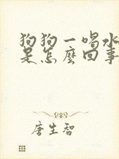 狗狗一喝水就尿是怎么回事