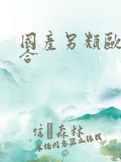 国产另类欧美综合