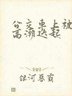 公交车上被插到高潮迭起