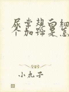 尿常规白细胞3个加号是怎么回事