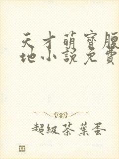 天才萌宝腹黑爹地小说免费