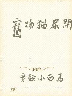 宠物猫尿闭的原因