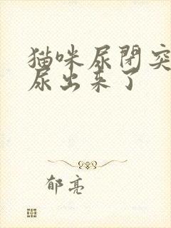 猫咪尿闭突然又尿出来了