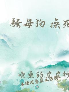 骚母狗 操死你
