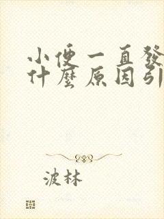 小便一直发黄是什么原因引起的