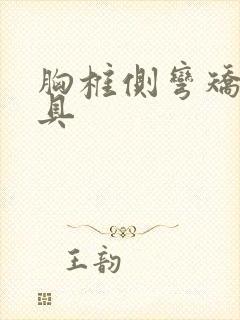 胸椎侧弯矫正支具