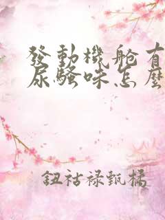 发动机舱有老鼠尿骚味怎么去除