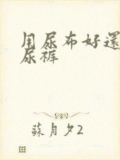 用尿布好还是纸尿裤