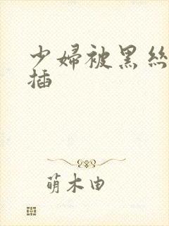 少妇被黑丝少妇插