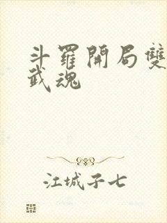 斗罗开局双神级武魂