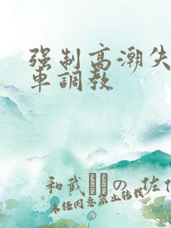 强制高潮失禁肉车调教