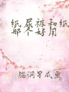 纸尿裤和纸尿片哪个好用