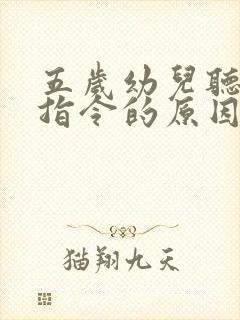 五岁幼儿听不懂指令的原因