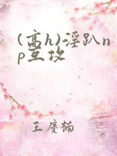 (高h)淫趴np互攻
