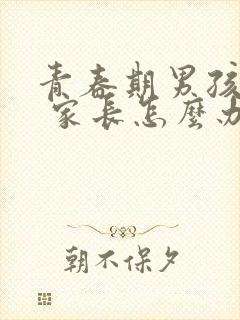 青春期男孩叛逆 家长怎么办