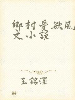 乡村爱欲风流爽文小说