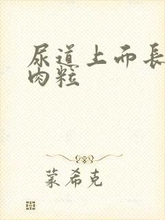 尿道上面长了小肉粒