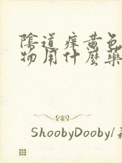 阴道痒黄色分泌物用什么药