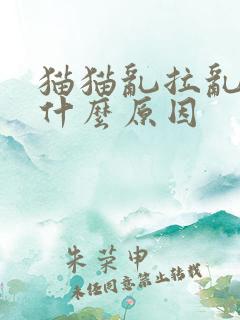 猫猫乱拉乱尿是什么原因