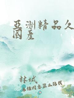 亚洲精品久久久国产