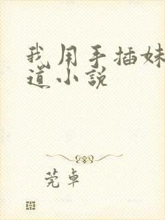 我用手插妹妹阴道小说