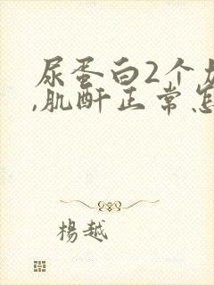 尿蛋白2个加号,肌酐正常怎么回事