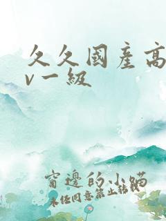 久久国产高清av一级